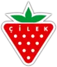 Cilek