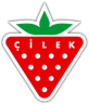 Cilek